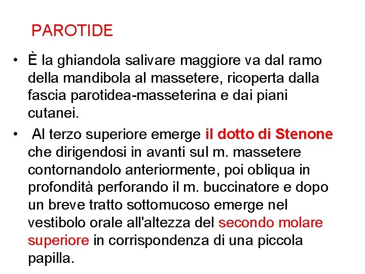 PAROTIDE • È la ghiandola salivare maggiore va dal ramo della mandibola al massetere,