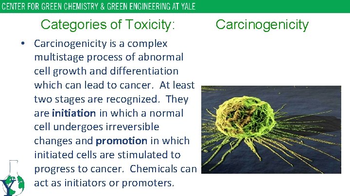 Categories of Toxicity: • Carcinogenicity is a complex multistage process of abnormal cell growth