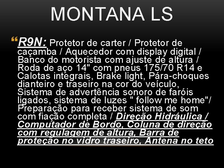 MONTANA LS R 9 N: Protetor de carter / Protetor de caçamba / Aquecedor