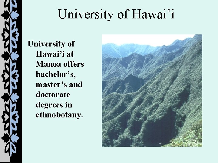 University of Hawai’i at Manoa offers bachelor’s, master’s and doctorate degrees in ethnobotany. 