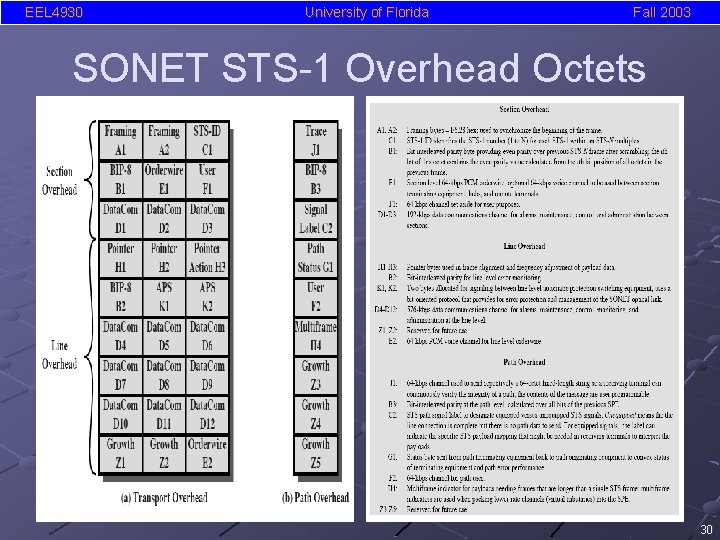 EEL 4930 University of Florida Fall 2003 SONET STS-1 Overhead Octets 30 