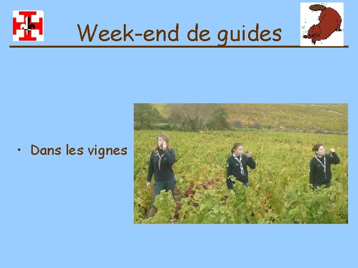 Week-end de guides • Dans les vignes 