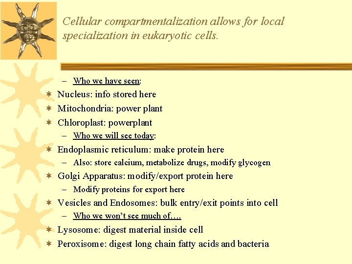 Cellular compartmentalization allows for local specialization in eukaryotic cells. – Who we have seen: