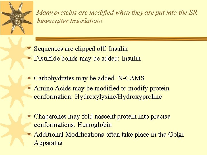 Many proteins are modified when they are put into the ER lumen after translation!