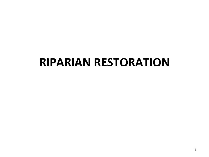 RIPARIAN RESTORATION 7 