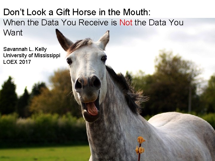 Dont Look a Gift Horse in the Mouth