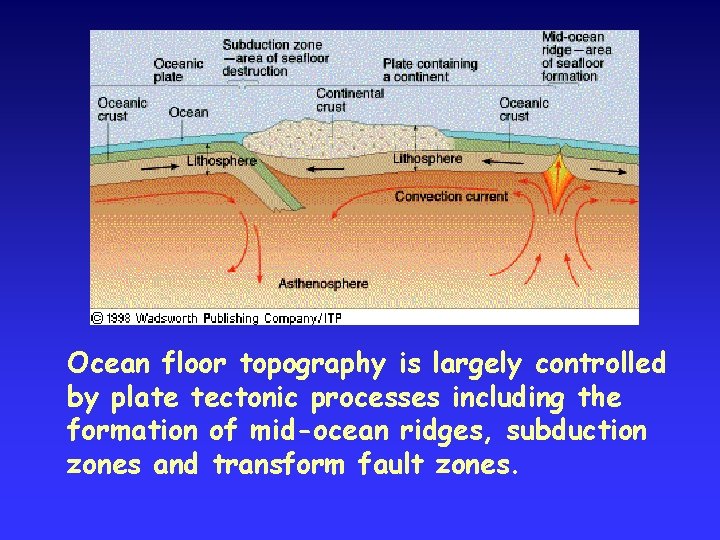 Ocean floor topography is largely controlled by plate tectonic processes including the formation of