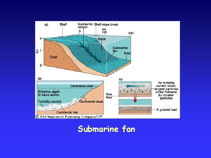 Submarine fan 