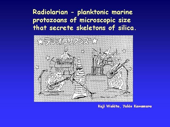 Radiolarian - planktonic marine protozoans of microscopic size that secrete skeletons of silica. Koji