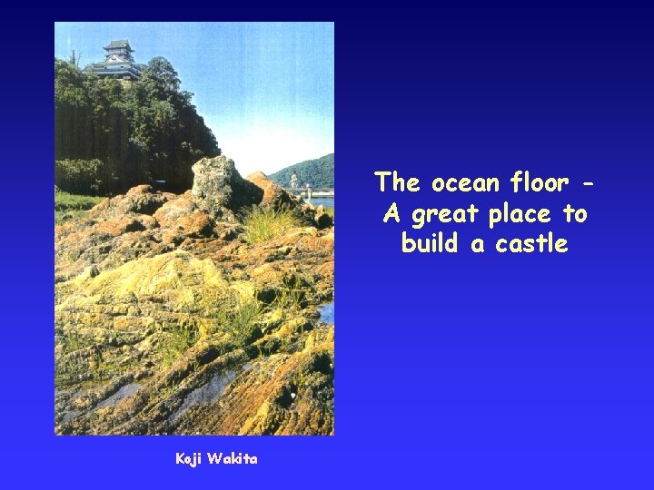 The ocean floor A great place to build a castle Koji Wakita 