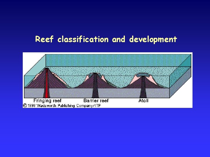 Reef classification and development 