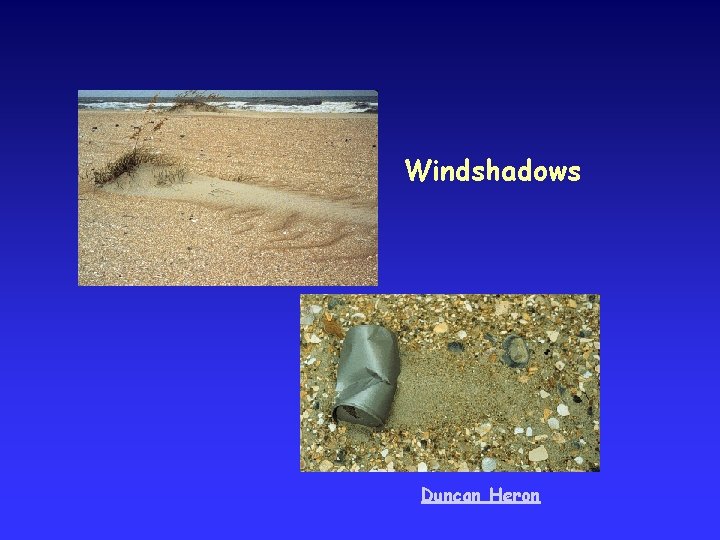 Windshadows Duncan Heron 