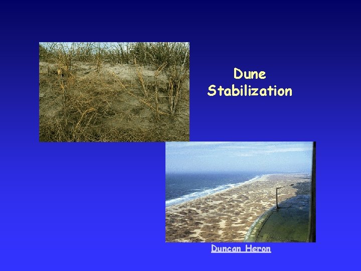 Dune Stabilization Duncan Heron 