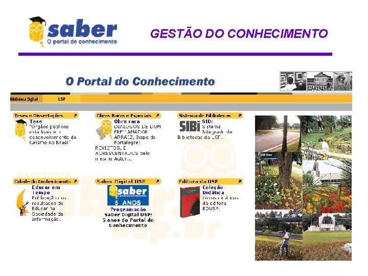 GESTÃO DO CONHECIMENTO 