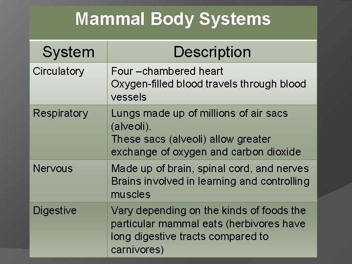 Mammal Body Systems System Description Circulatory Four –chambered heart Oxygen-filled blood travels through blood