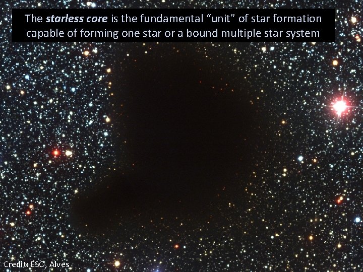 The starless core is the fundamental “unit” of star formation capable of forming one