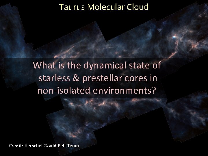 Taurus Molecular Cloud What is the dynamical state of starless & prestellar cores in