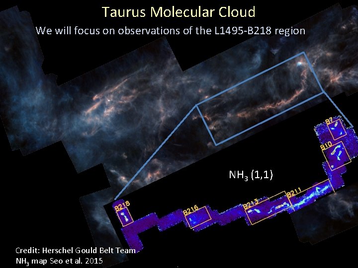 Taurus Molecular Cloud We will focus on observations of the L 1495 -B 218