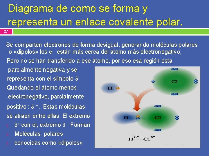 Diagrama de como se forma y representa un enlace covalente polar. 27 Se comparten