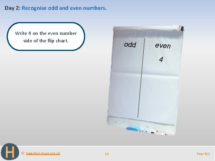 Day 2: Recognise odd and even numbers. Write 4 on the even number side