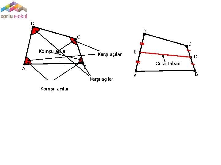 D D C C Komşu açılar Karşı açılar E Orta Taban B A Karşı