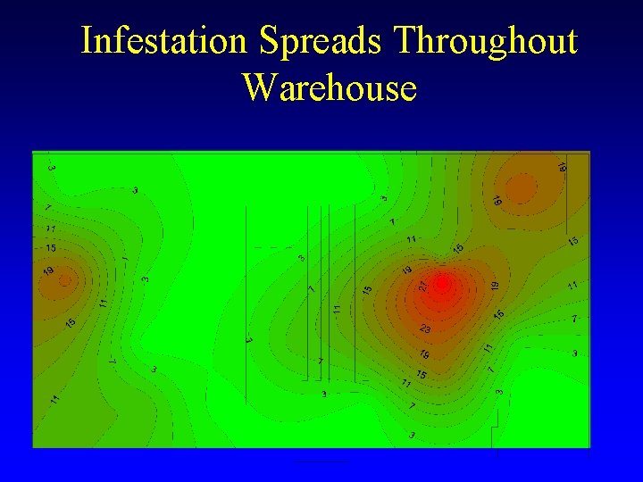 Infestation Spreads Throughout Warehouse Infestation Spreads Throughout Warehouse