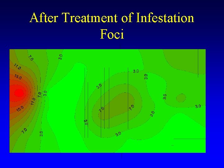 After Treatment of Infestation Foci After Treatment of Infestation Foci