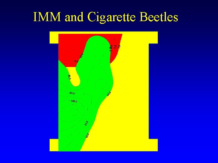IMM and Cigarette Beetles IMM and Cigarette Beetles