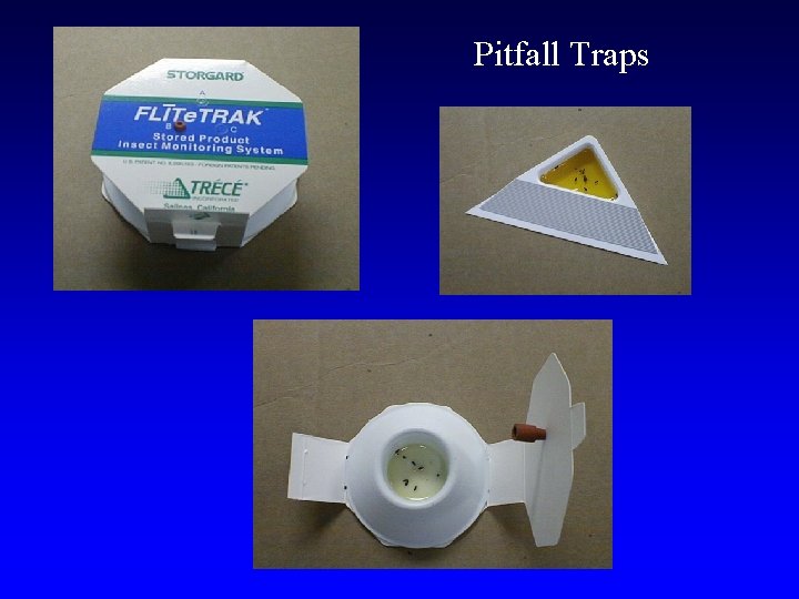 Pitfall Traps Pitfall Traps