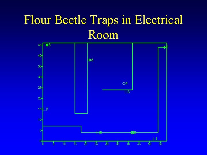 Flour Beetle Traps in Electrical Room Flour Beetle Traps in Electrical Room