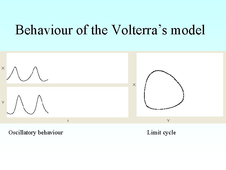 Behaviour of the Volterra’s model Oscillatory behaviour Limit cycle 