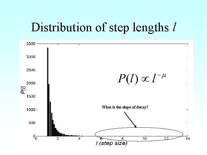 Distribution of step lengths l What is the slope of decay? 