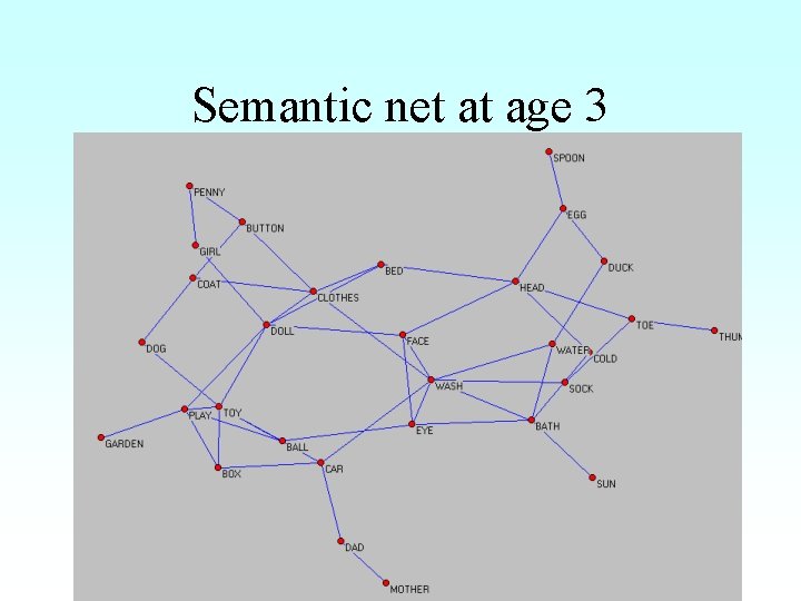 Semantic net at age 3 