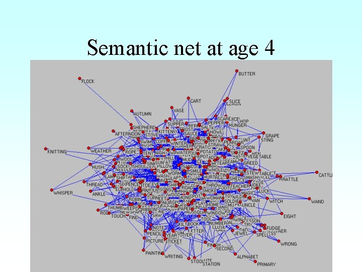 Semantic net at age 4 