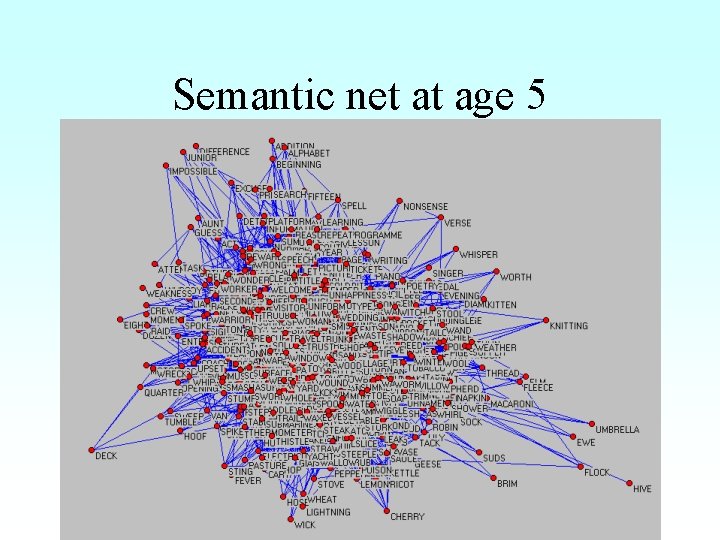 Semantic net at age 5 