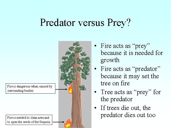 Predator versus Prey? Fire is dangerous when caused by surrounding bushes Fire is needed