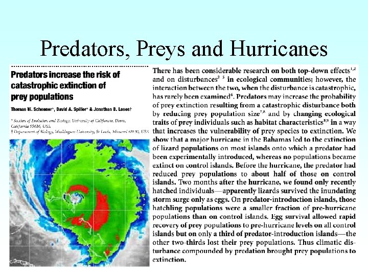 Predators, Preys and Hurricanes 