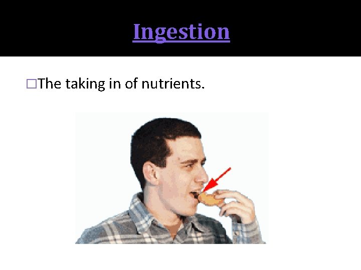 Ingestion �The taking in of nutrients. 