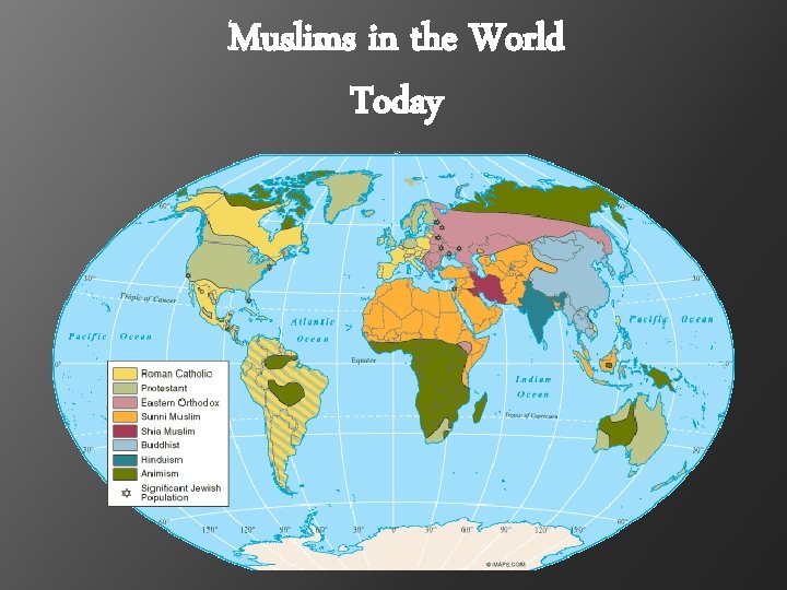 Muslims in the World Today 