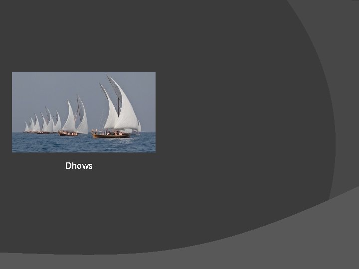 Dhows 