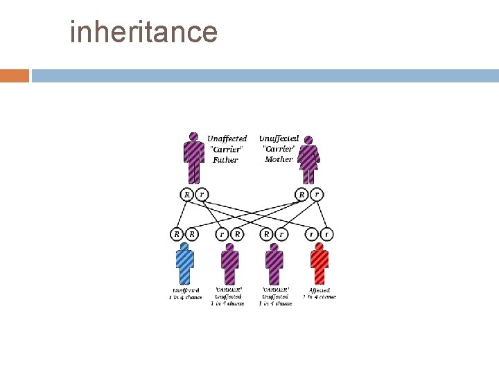 inheritance 