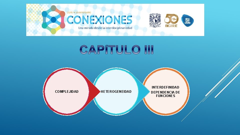 COMPLEJIDAD HETEROGENEIDAD INTERDEFINIDAD DEPENDENCIA DE FUNCIONES 