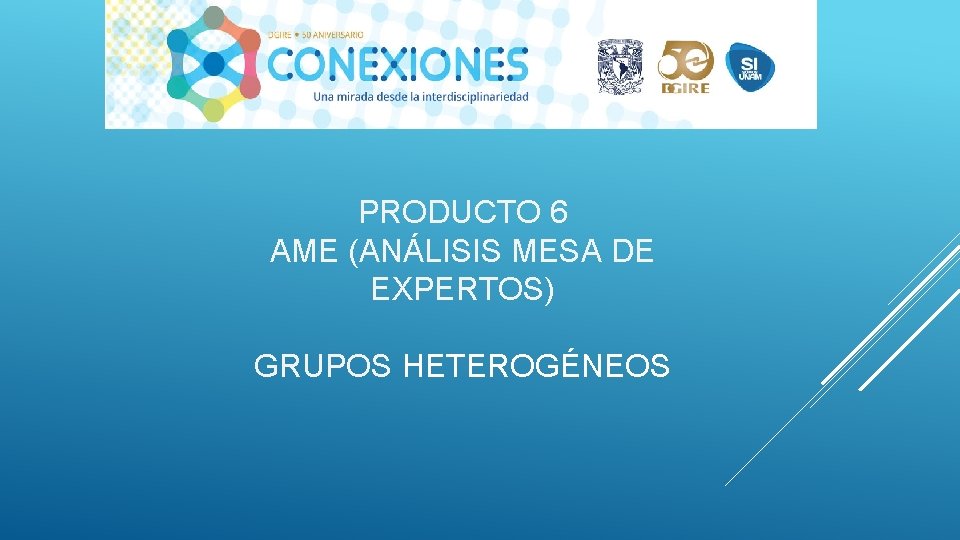 PRODUCTO 6 AME (ANÁLISIS MESA DE EXPERTOS) GRUPOS HETEROGÉNEOS 