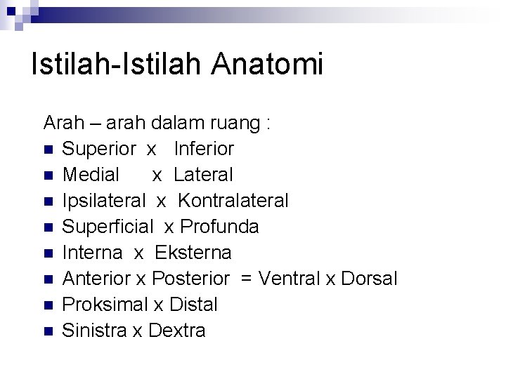 Istilah-Istilah Anatomi Arah – arah dalam ruang : n Superior x Inferior n Medial