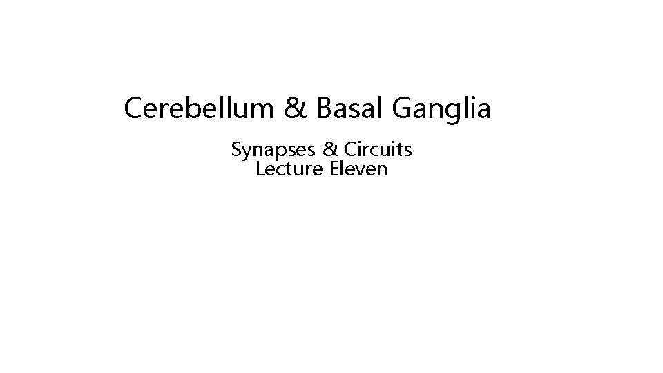 Cerebellum & Basal Ganglia Synapses & Circuits Lecture Eleven 