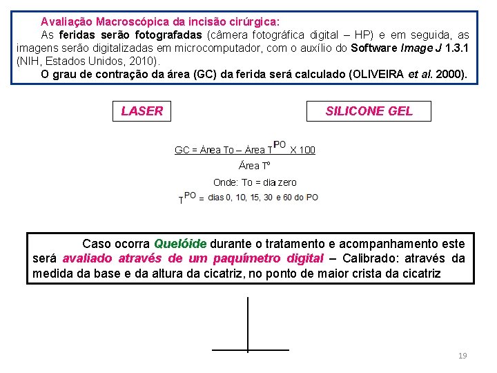 Avaliação Macroscópica da incisão cirúrgica: As feridas serão fotografadas (câmera fotográfica digital – HP) Avaliação Macroscópica da incisão cirúrgica: As feridas serão fotografadas (câmera fotográfica digital – HP)