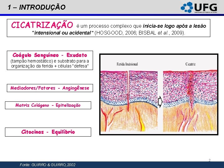 1 – INTRODUÇÃO CICATRIZAÇÃO é um processo complexo que inicia-se logo após a lesão 1 – INTRODUÇÃO CICATRIZAÇÃO é um processo complexo que inicia-se logo após a lesão