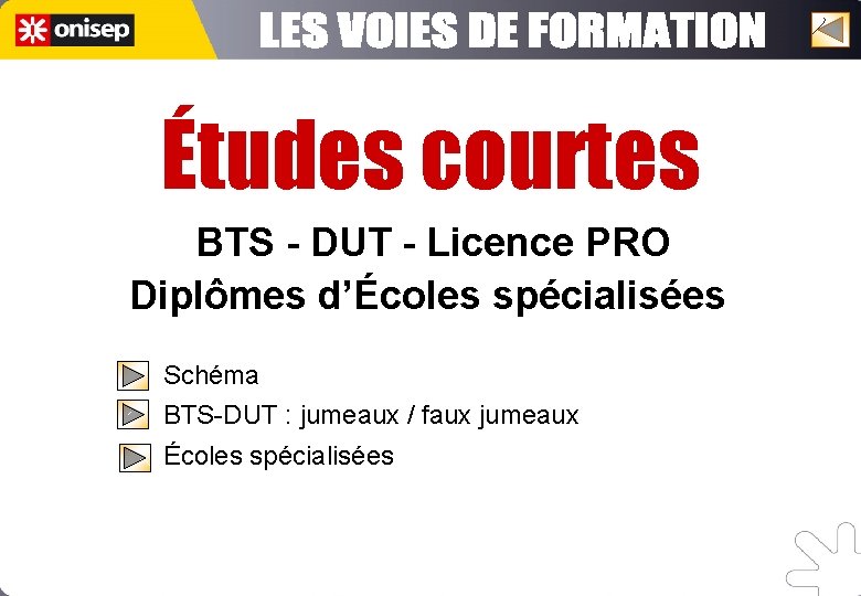 Études courtes BTS - DUT - Licence PRO Diplômes d’Écoles spécialisées Schéma BTS-DUT :