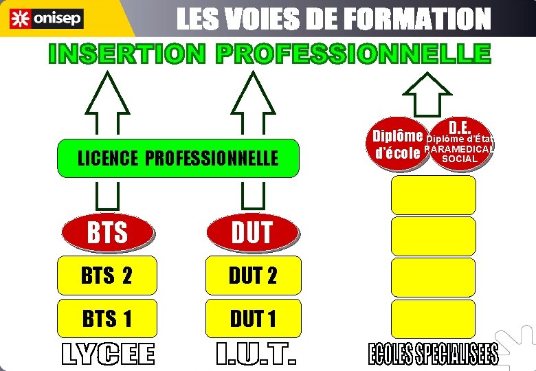 D. E. LICENCE PROFESSIONNELLE BTS DUT BTS 2 DUT 2 BTS 1 DUT 1