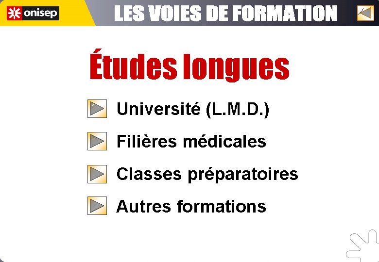 Études longues Université (L. M. D. ) Filières médicales Classes préparatoires Autres formations 